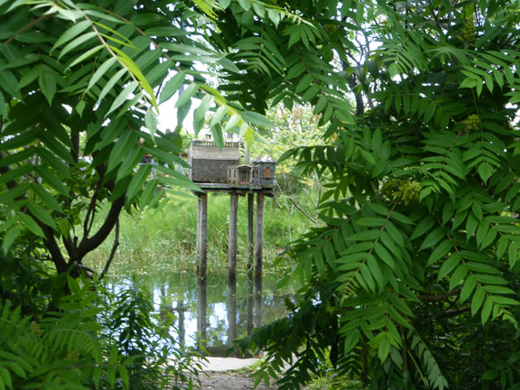 BirdHouse
