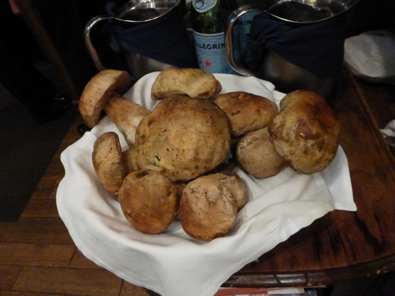 Mushrooms